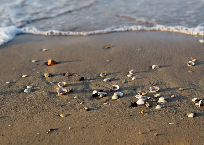 Daire Wonderful With Pool